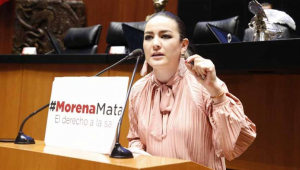 Martha Márquez, senadora