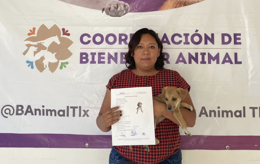Entrega la Coordinación de Bienestar Animal 15 adopciones en condiciones de calle