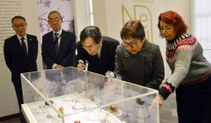 Museo Universitario Casa de los Muñecos inaugura la muestra “Netsuke. Japón en miniatura”