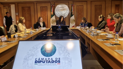 Red de mujeres plural busca que la 4T considere sus propuestas para la reforma electoral