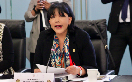 Morena empobrece al país y desmantela instituciones: Anabell Ávalos