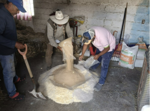 Impulso agropecuario de Tlaxcala busca mejorar alimentación del ganado local