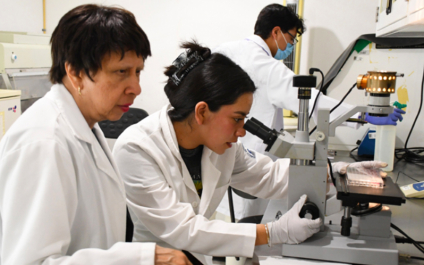 Grupo multidisciplinario de la BUAP desarrolla modelos computacionales que predicen y describen la regeneración epitelial