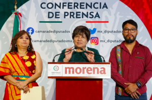 Diputados de Morena y PT acusan al conservadurismo de provocar caída de Pedro Castillo