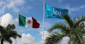 México no ha combatido con firmeza la desaparición forzada: ONU