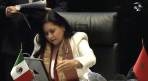 Senadora de Morena es captada insultando a otra senadora: “no manches, pinche loca”, le dice