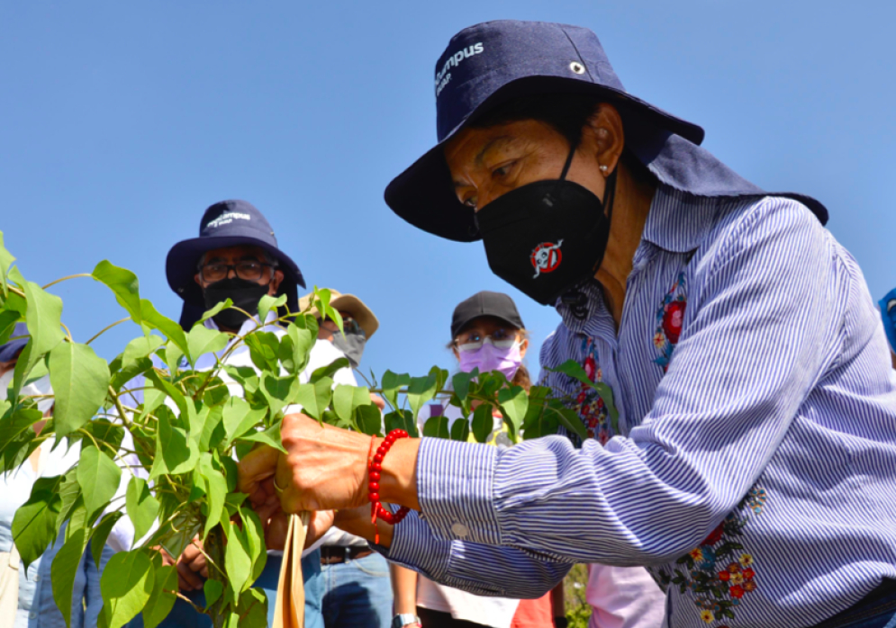 Rectora Lilia Cedillo encabeza reforestación del Memorial COVID-19