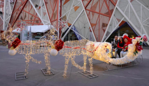 Disfruta del Festival Navideño en Los Fuertes