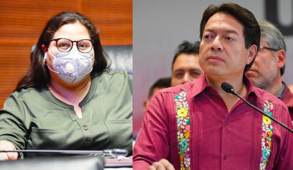 Morenistas repudian dirigencia de Delgado y Citlalli Hernández: &quot;AMLO construye, Mario destruye&quot;, les gritan