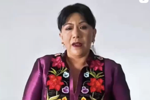 Senadora Anabell Ávalos exige disculpas a empresario pro 4T que se burló del estado en presencia de legisladores morenistas