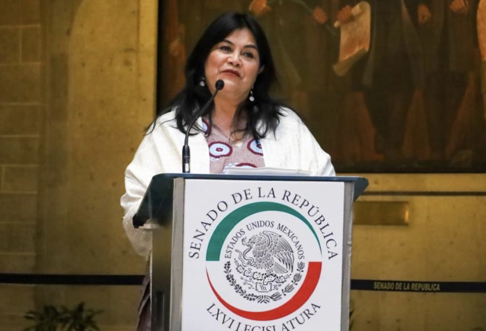 Senadora de morena reconoce crisis de despojos en la CDMX y acusa colusión de jueces corruptos