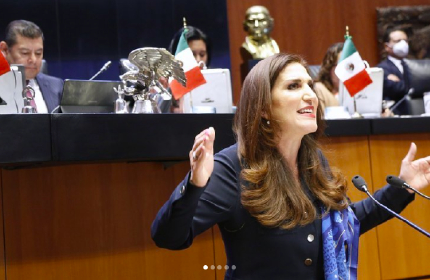 PAN invita a Elena Chávez a presentar su libro “AMLO el Rey del Cash” en el Senado de la República