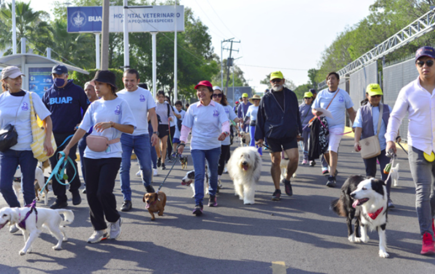 Celebra BUAP primer aniversario del Centro de Apoyo Emocional y Terapia Ocupacional con Animales