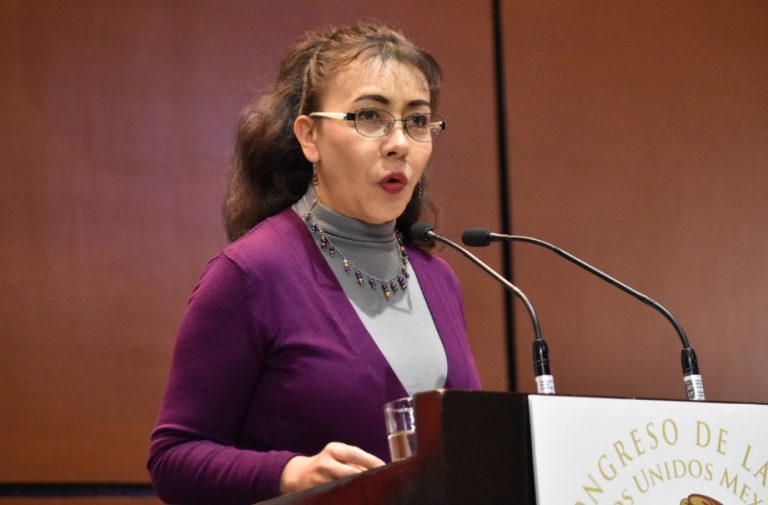 Diputada de Morena busca que le perdonen la deuda externa a México