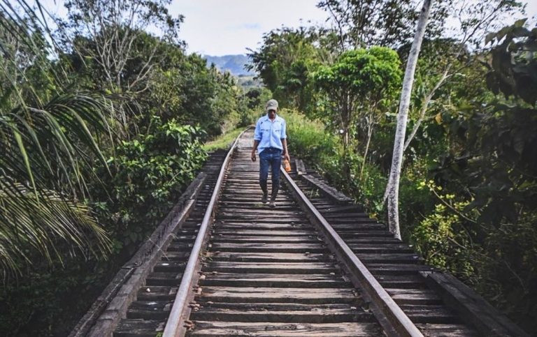 Tren Maya costará 17 mil mdp más de lo estimado