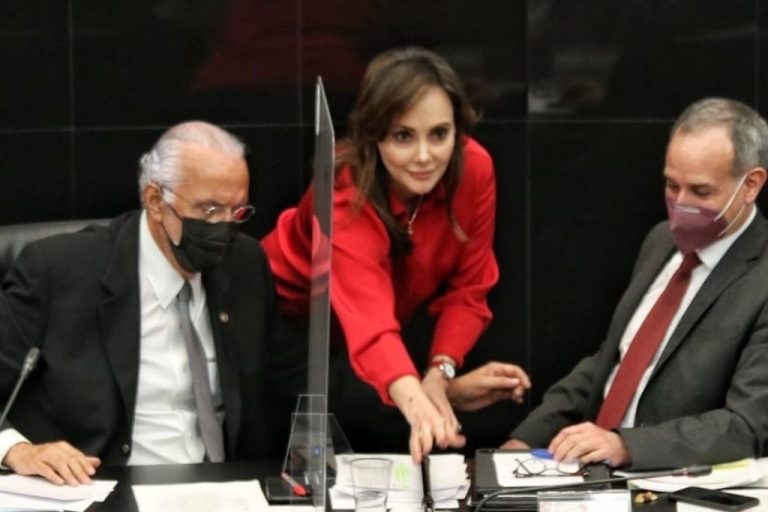 Lilly Téllez denuncia campaña en su contra tras críticas a López-Gatell