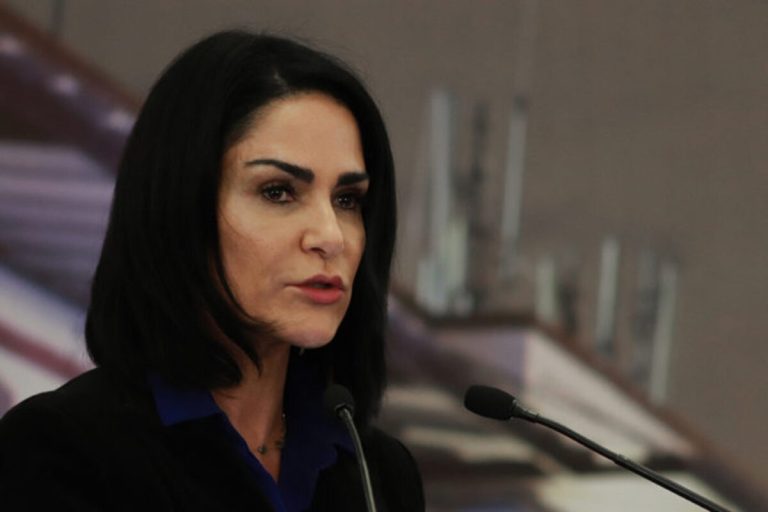 La destrucción del todo; sin justicia, sin cultura, así nos quiere el Senado: Lydia Cacho