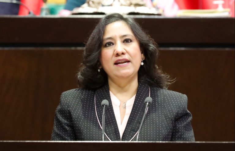 Estamos construyendo una administración pública transparente: Irma Sandoval ante el Congreso