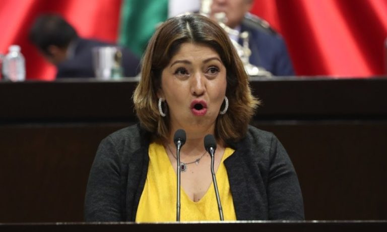 Presume diputada del PT que la 4T actúa con responsabilidad frente al cambio climático