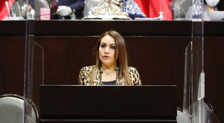 Necesario que el Gobierno deje de culpar al pasado y que asuma su responsabilidad con las mujeres: MC