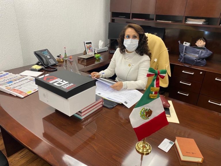 Ve Padierna que gobernadores “antifederalistas” extrañan corrupción y privilegios
