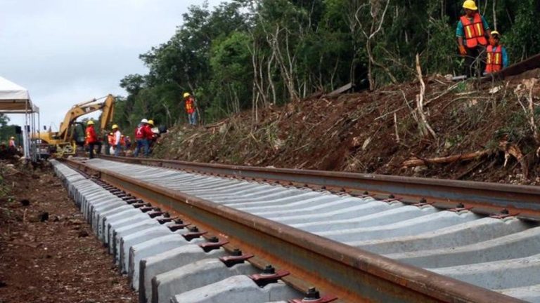 Ven en Italia destrucción de selva maya por tren de AMLO; califican la obra como una ‘vergüenza’