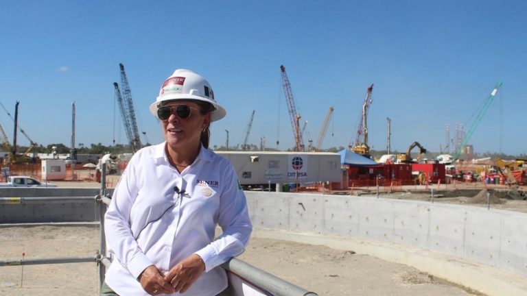 Rocío Nahle registra su nombre como marca por 8 mil pesos