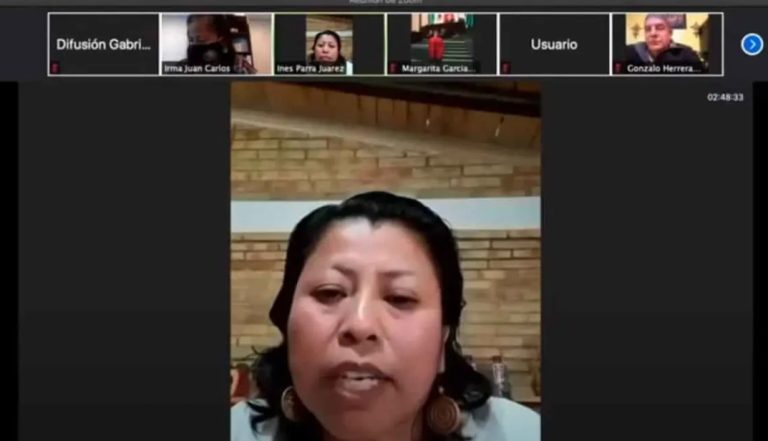 Diputadas de Morena discuten a gritos en plena sesión virtual