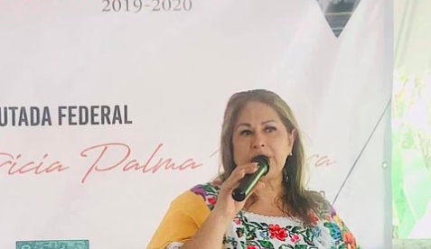 Propone diputada de Morena uso obligatorio de cubrebocas y toque de queda