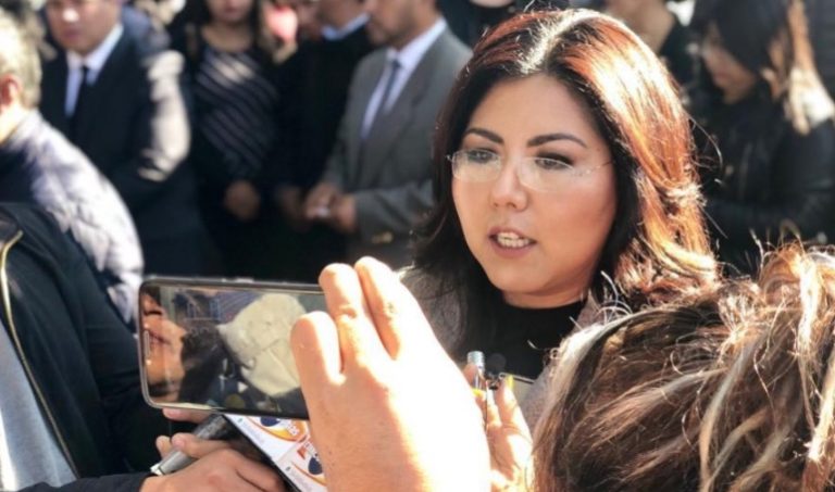 Vamos con perfiles competitivos, llegaremos unidos al 6 de junio como la primera fuerza política: Genoveva Huerta