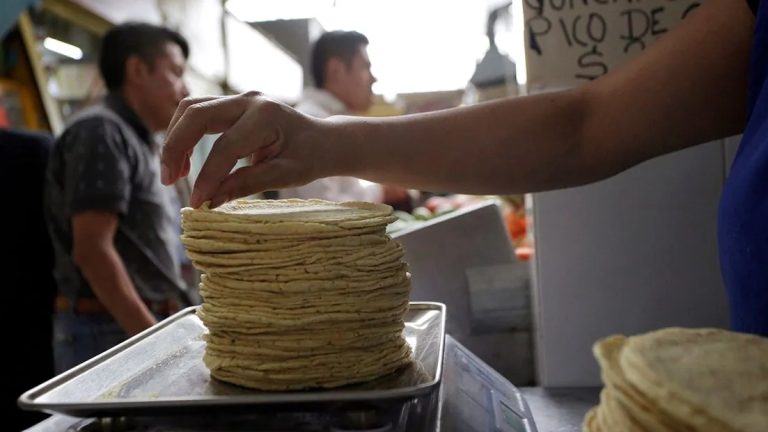 Se dispara el precio de la tortilla; hasta en 20 pesos se vende en algunas ciudades