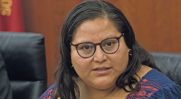 PRI, PAN y PRD no han hecho nada por ayudar en la pandemia, solo generar terror y desinformación: Citlalli Hernández