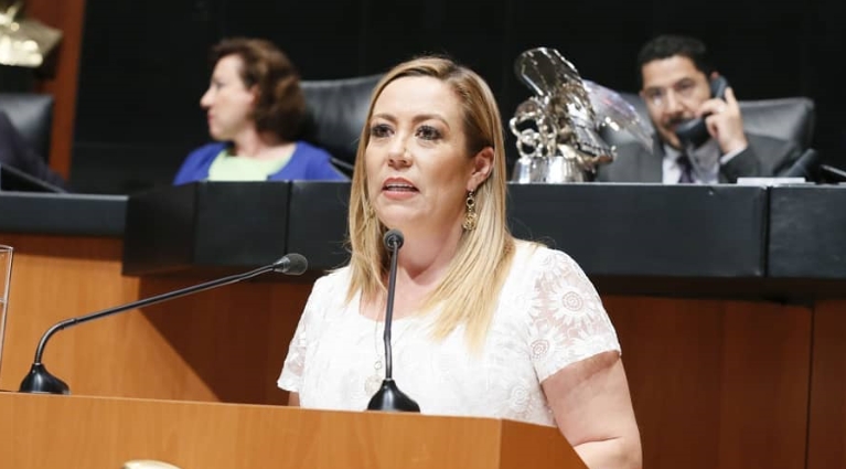 El conflicto del Presidente contra el sector privado llegó a un punto miserable: Alejandra Reynoso
