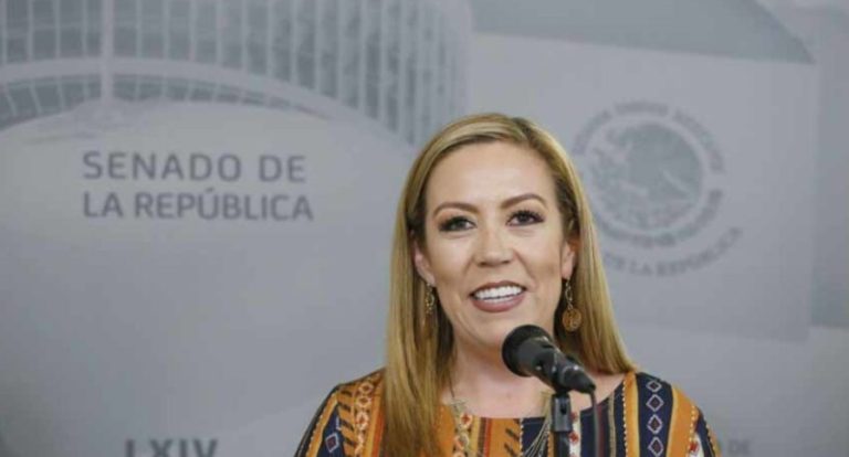 Persecución, intimidación y abuso de poder son las medidas de Morena ante su desastre anunciado: Ale Reynoso