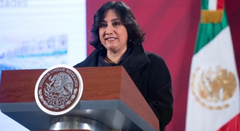 Con Irma Sandoval, 12 empresas eludieron sanciones y ganaron contratos con el gobierno