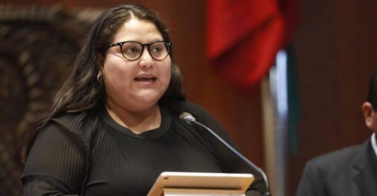 Cualquiera que crea en la democracia no debería estar llamando a no participar en la consulta: Citlalli Hernández