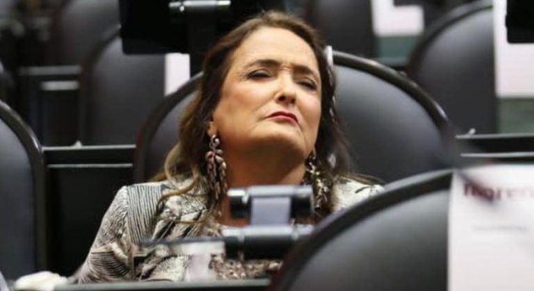 Captan a Patricia Armendáriz durmiéndose durante sesión en la Cámara de Diputados