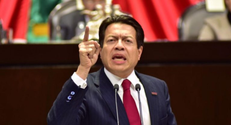 Delgado califica como antidemócratas a los que se oponen a la revocación de mandato