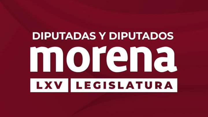 Morena propone que ONGs no reciban financiamiento del extranjero si son “golpistas”