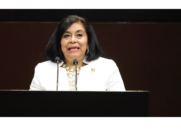 Diputada de Morena propone cárcel a quienes no vendan litros de a litro de gasolina