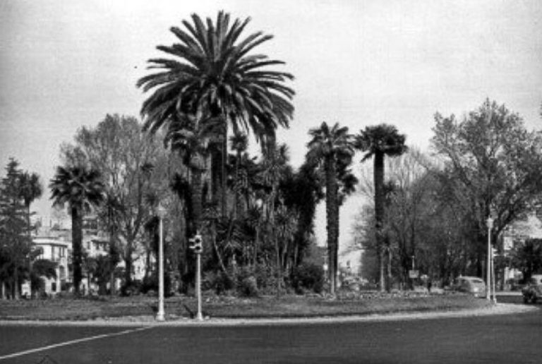 Sheinbaum anuncia un “homenaje” a La Palma del Paseo de La Reforma