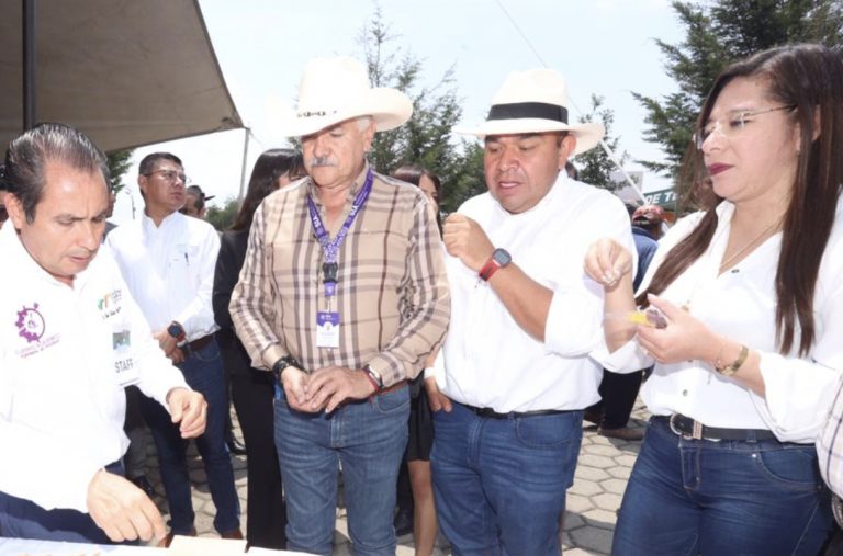 Organiza la 4T primera feria regional “de la gente del campo”