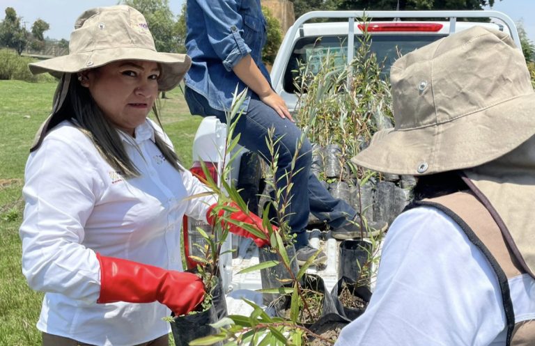 Procuraduría de Protección al Ambiente y Medio Ambiente realizan limpieza de ‘La Laguna’ en Acuitlapilco