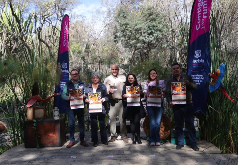 Dona tu árbol natural y recibe un pase 2×1 para Africam Safari o Arboterra