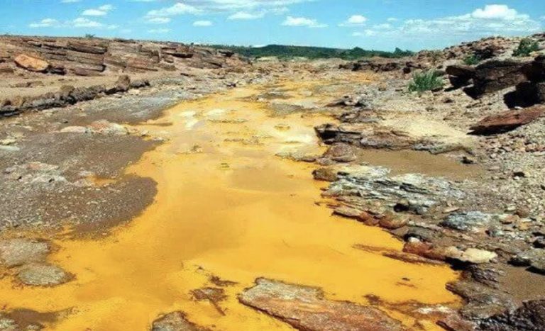 INAI ordena a SEMARNAT entregar denuncia por incumplimiento en la remediación del daño ambiental provocado por derrame en el Río Sonora   