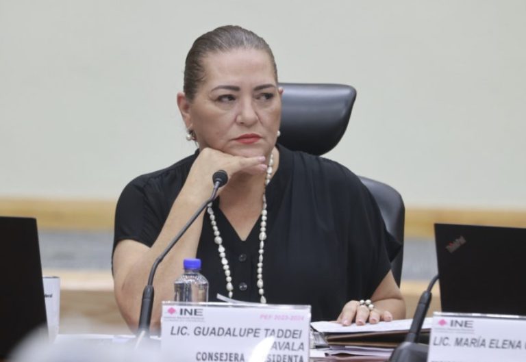 Taddei asegura que mexicanos podrán ejercer su voto en libertad el próximo 2 de junio