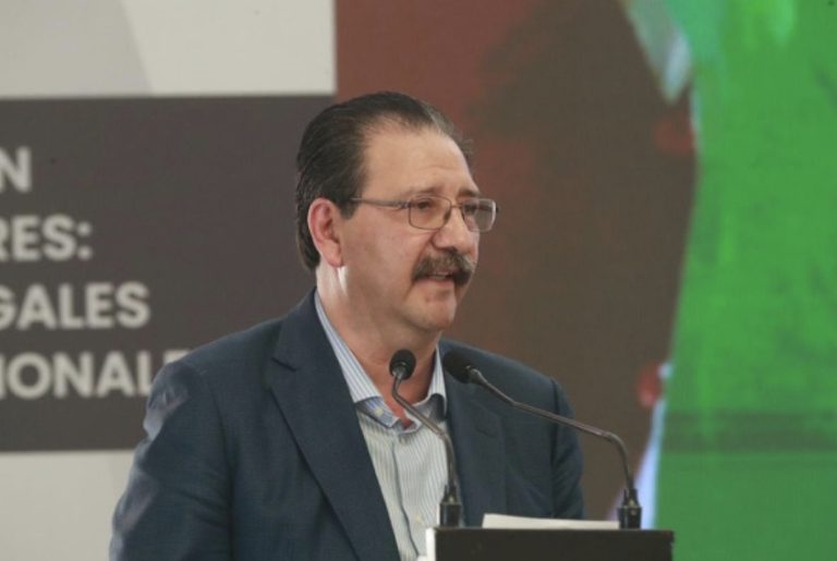 “Elección popular de jueces, ministros, magistrados, va, sólo se discute cómo mejorar la reforma”, advierte el PT