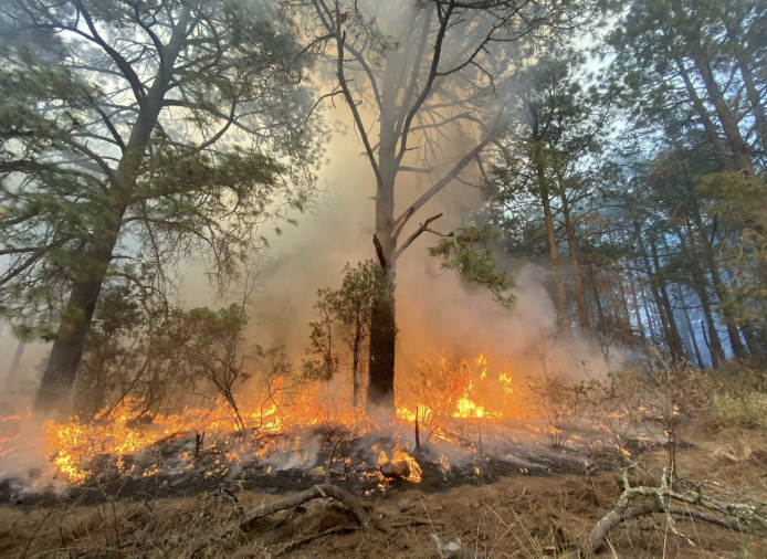 La enseñanza que nos dejó el incendio de Atltzayanca