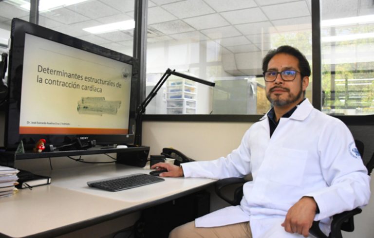 En el Instituto de Fisiología reside uno de los pocos grupos del país que estudia la relación estructura-función en las células cardiacas