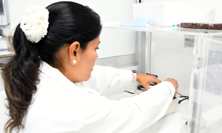 BUAP busca soluciones de fondo para la contaminación por plásticos